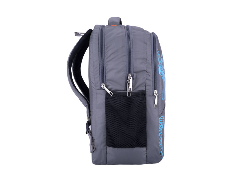 Light Weight Backpack-BP501HP12